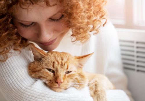 A kutyatáplálás művészete – Mitől lesz fényes a szőr és végtelen az energia?