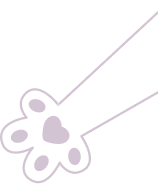 PAWZ Road Enclosed Cat Litter Box Large with Lid Drawer Type Easy to Clean,Gray - Image 3