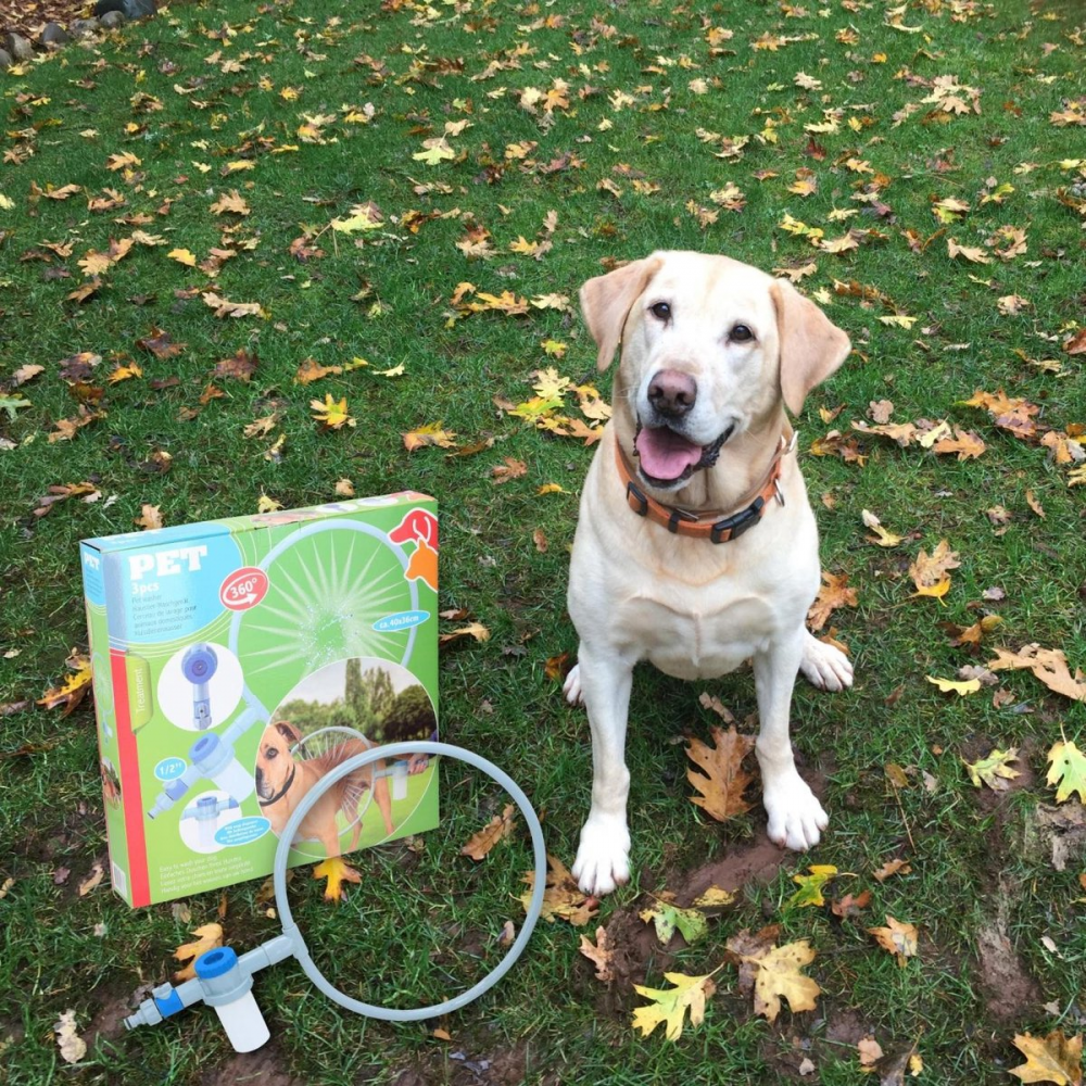 Kutyafürdető gyűrú, locsolóra csatlakoztatható - Image 3