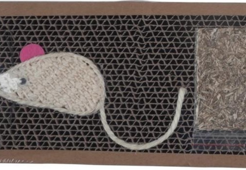 Apró talpak, óriási igények – Útmutató a boldog rágcsálókhoz