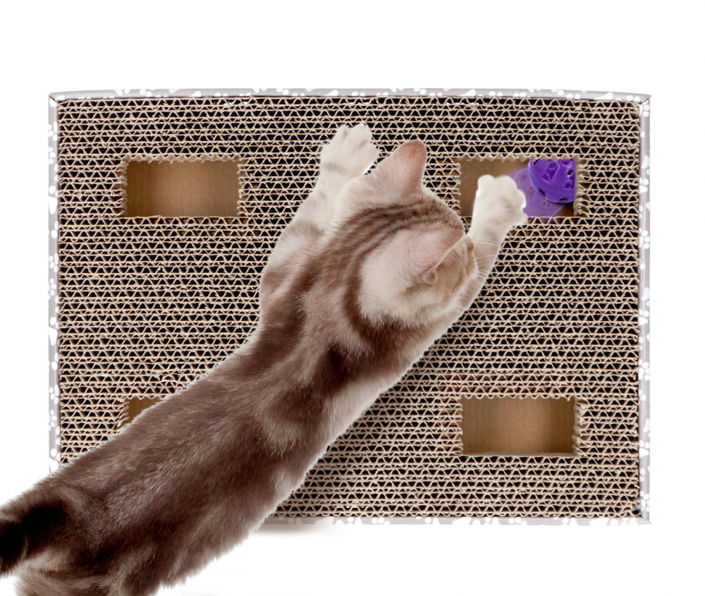 Macskajáték kaparókarton és játék 2 golyóval - Image 2