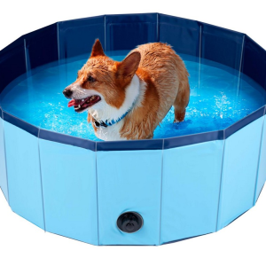 Kutyamedence S-es méret 80cm x 30cm PET COMFORT